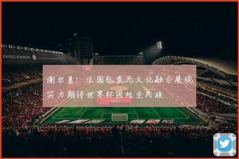 谢尔基：法国队多元文化融合展现实力期待世界杯团结全民族