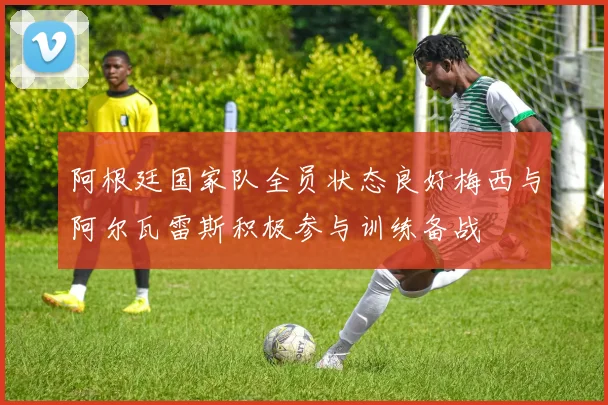 阿根廷国家队全员状态良好梅西与阿尔瓦雷斯积极参与训练备战